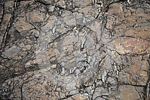 Large Rocks with Striations and Grooves on the Shore Path Bar Harbor Maine