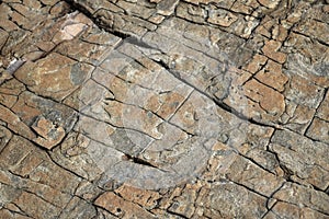 Large Rocks with Striations and Grooves on the Shore Path Bar Harbor Maine