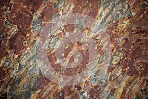 Large Rocks with Striations and Grooves on the Shore Path Bar Harbor Maine