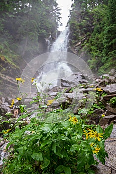 Large rohache waterfall in spring. slovakia