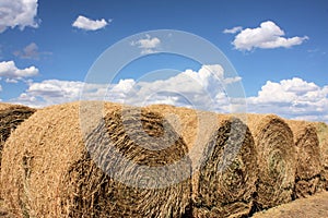 Large Rolls of Hay