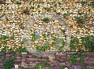 Large rough textured irregular brown stone wall with green foliage growing between the cracks