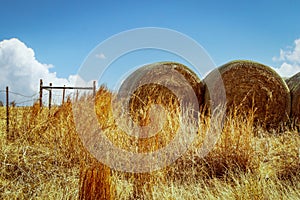 Large round bales of hay sitting in corner of hayfield with old wire fence reinforced at corner by wood- Room for copy