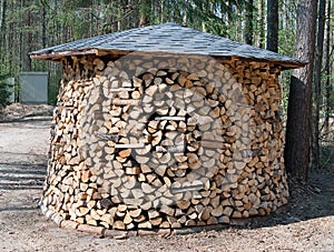 Large round firewood prepared in forest