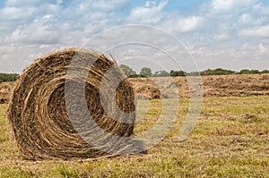 Large round grass hay bale