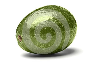 Large round green avocado on white background