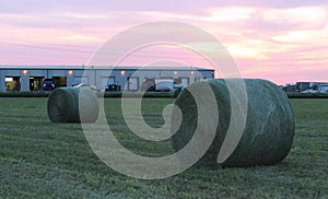 Large round green hay bales at sunset