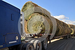 Large round hay bales on a flatbed.