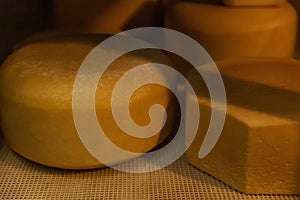 Large round heads of cheese on wooden shelves. Farm production of dairy products. Close-up