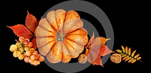 Large round pumpkin, grape, nuts and autumn leaveas isolated on black photo