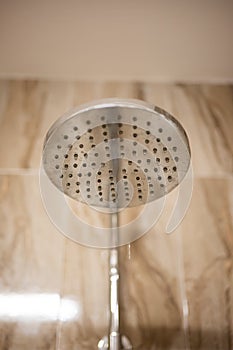 Large round shower head inside new shower cabin. Low angle view, no water, no people