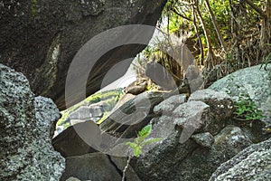 Large round stones on the shore. Round rocks and tropical plants.