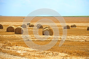 Large round straw bales