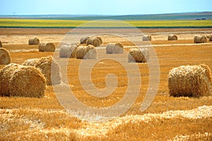 Large round straw bales