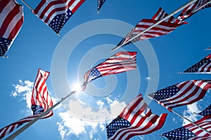 Large Rows of United States of America Flags Outside in the Sunshine