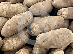Large Russet Burbank baking potatoes stacked lose for sale