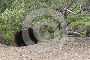 Large Rusting Discarded Metal Pipe / Flue? in Talisker Silver Le