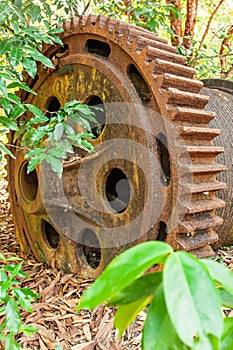 Large rusty gear of Tin Dredge in the deserted tin mine. Dry leaves fall on the ground, tropical forest backgrounds