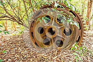 Large rusty gear of Tin Dredge in the deserted tin mine. Dry leaves fall on the ground, tropical forest backgrounds
