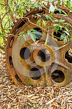 Large rusty gear of Tin Dredge in the deserted tin mine. Dry leaves fall on the ground, tropical forest backgrounds