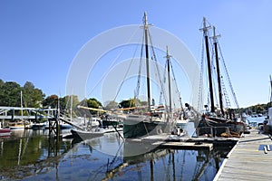 Large sailboats in the Camden Harbor in Maine