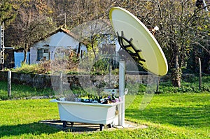 Large satellite dish antenna near a bath full of green plants in a yard