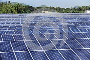 Large Scale On-ground Solar PV Power Plant photo