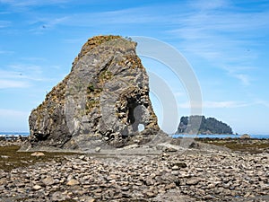 Large Sea Stack along Pacific Northwest Coast, Olympic National Park