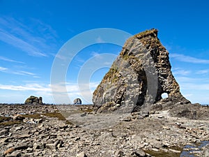 Large Sea Stack along Pacific Northwest Coast, Olympic National Park