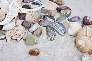 Large seashells and sea pebbles on the sand. Summer beach background