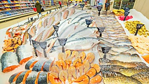 A large selection of fresh fish lying in the ice on the counter of the supermarket.