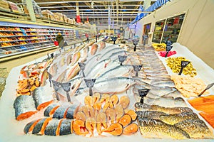 A large selection of fresh fish lying in the ice on the counter of the supermarket.