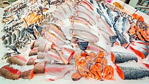 A large selection of fresh fish lying in the ice on the counter of the supermarket.