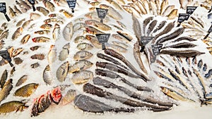 A large selection of fresh fish lying in the ice on the counter of the supermarket.