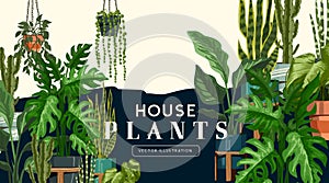 Large Selection Of Home house Plants In Pots