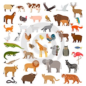 A large set of African, forest and animals and birds from the farm with the cubs. Bear, cow, elephant, lion. flat vector