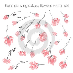 Large set of delicate pink sakura cherry flowers