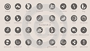 A large set of essential oil icons. Plants for aromatherapy.