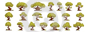 Large Set of forest trees of interesting and twisted shapes, bonsai and oaks, green forest tree of interesting shapes