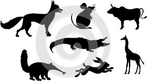 vector drawing style of animals suilhouette big set collection