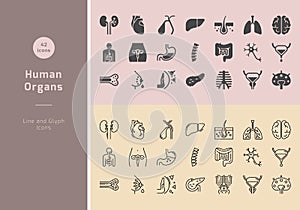 Large set of linear  icons of human organs with signatures