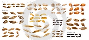 Large set of malt and grains on a white background