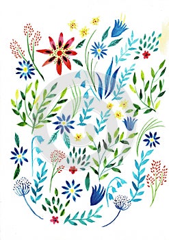 Large set watercolor illustration. Botanical collection of wild and garden plants. Set: leaves, flowers, branches, herbs