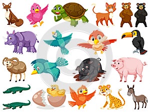 Large set of wild animals on white background