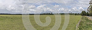 Large sheep flock in green meadows, near Ashcott Homestead, New Zealand