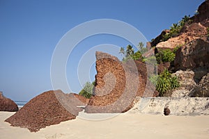 Large a shell rock on the beach.