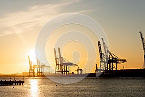 Large ship to shore container cranes at sunset