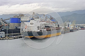 Large ships freighters in a busy port harbor