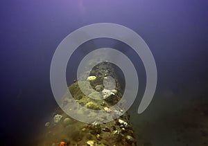 The large ships screw on an Imperial Japanese Navy cargo ship sunk at Truk Lagoon