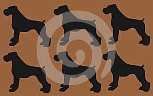 Large sized dogs silhouette against a brown backdrop